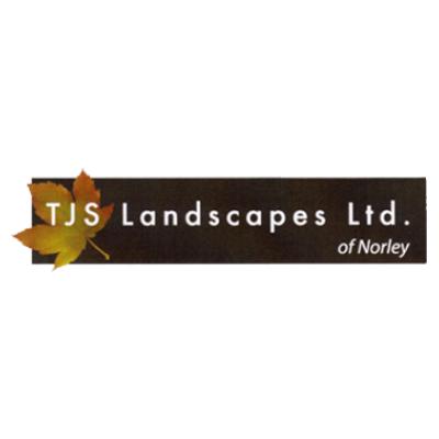 Tjs Domestic Services Limited